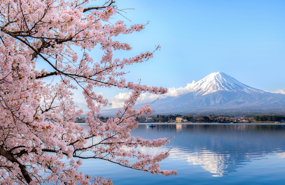 Persyaratan Visa Jepang Tourist